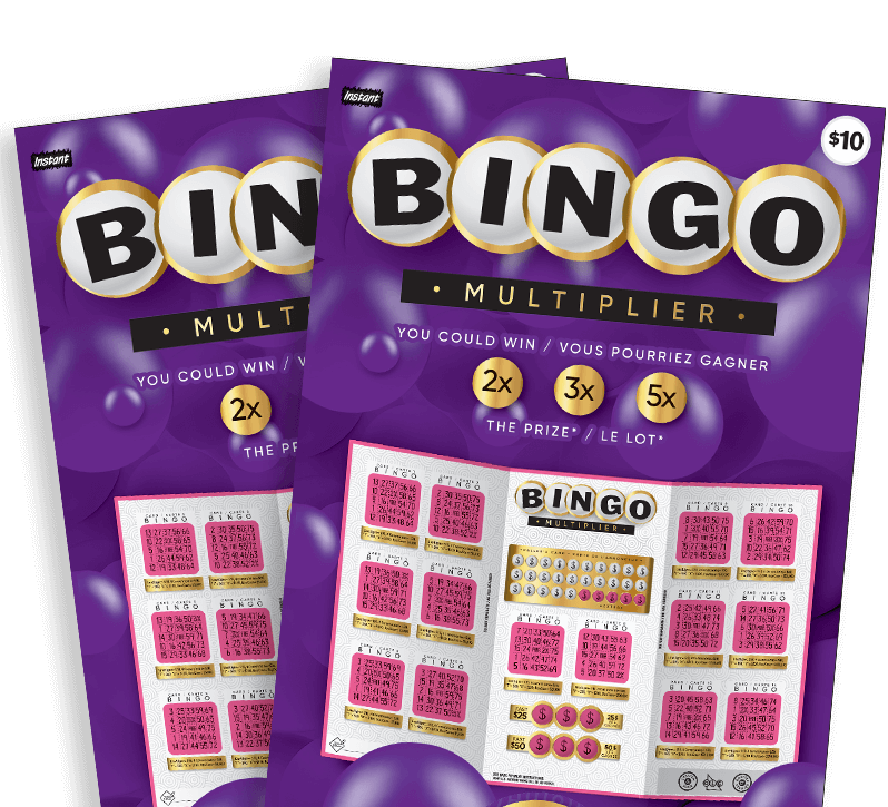 Bingo Multiplier 3079 tickets